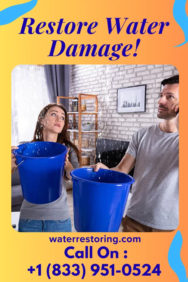 water restoration Ace Disaster Recovery Solutions Tecumseh