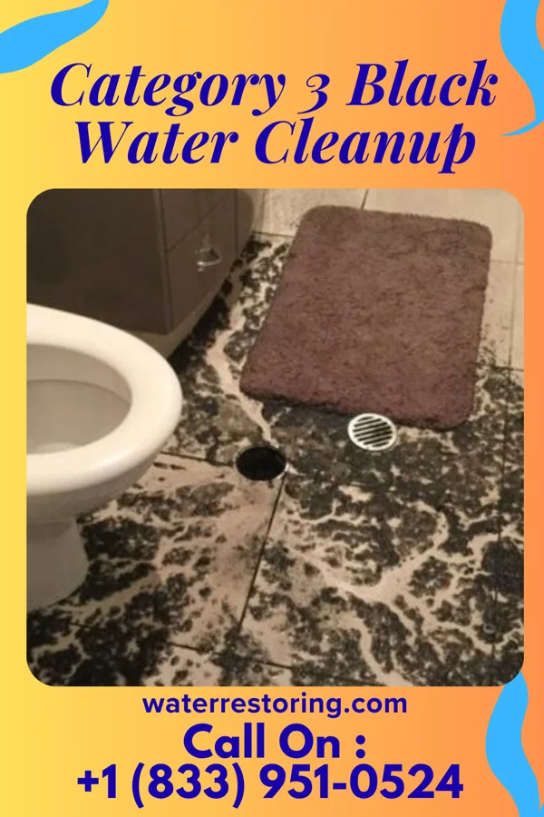 Category 3 Black Water Cleanup in Tecumseh, MI