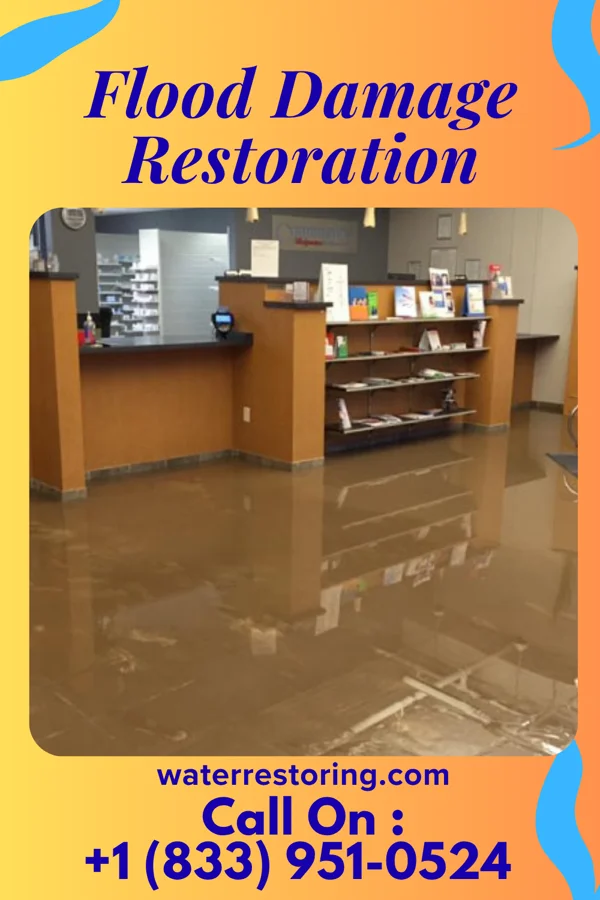 Flood Damage Restoration in Tecumseh, MI